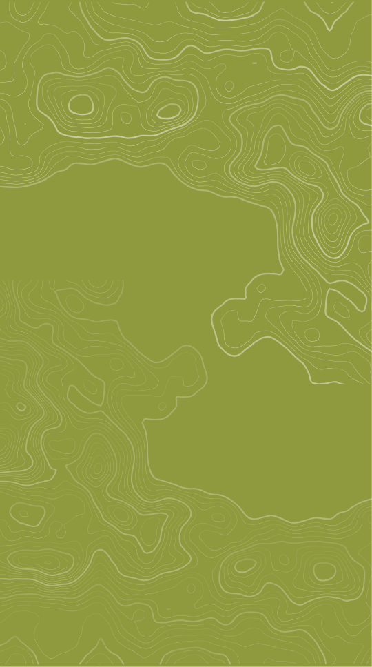 form background